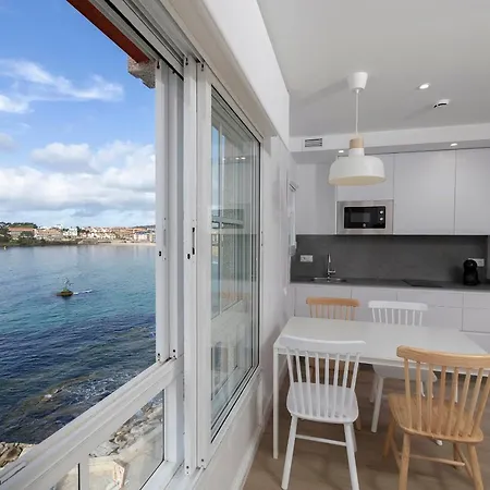 Rotilio * סנשנשו